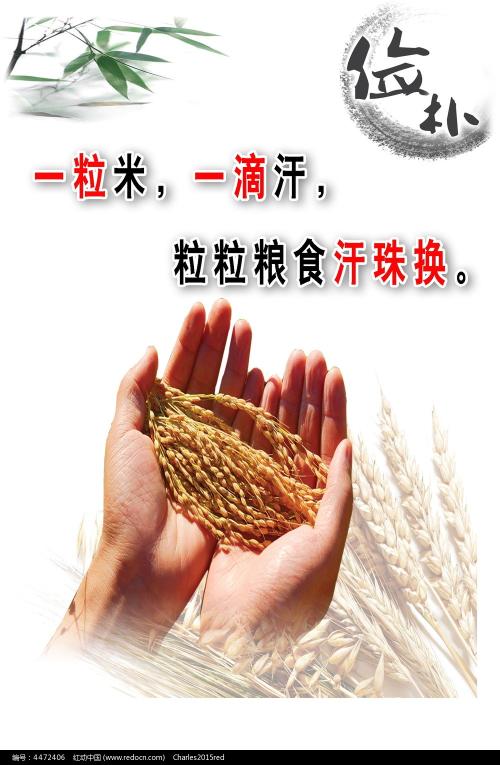 罗得岛设计学院degree